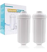 ShuRex Replacement PF-2 Fluoride Water Filter, Fluoride and Arsenic Reduction Element Filter, Com...