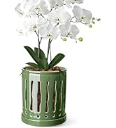 BUYMAX 6 Inch Ceramic Orchid Pot With Large Slotted Holes, Planter for Enhanced Air Circulation, ...