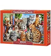 Castorland Puzzle 2000 Pieces, House of Cats, C-200726