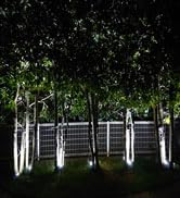 solar spotlights