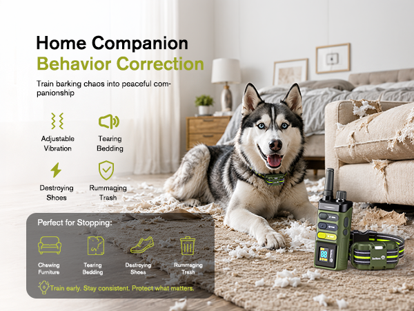 dog shock collar for large dogs