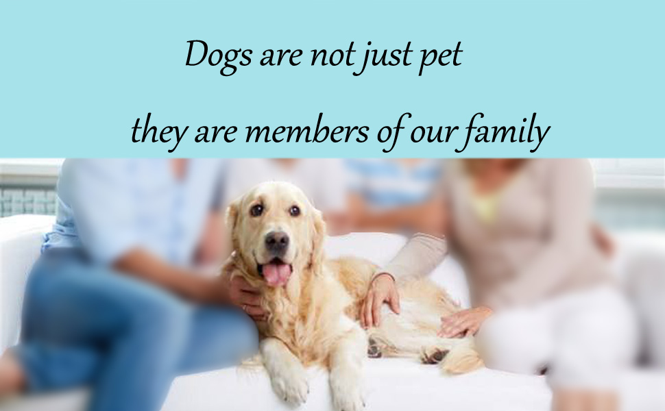 dog health care