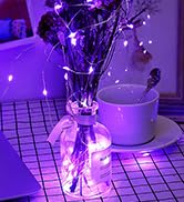 fairy lights purple