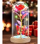 Otlonpe Forever Artificial Glass Rose Flower Lamp, Women Gifts for Birthday Christmas Valentines ...