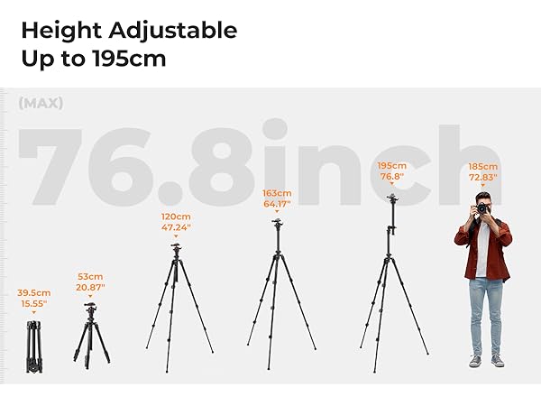 Text reads 'Height Adjustable Up to 155cm'. Infographic showing tripod height adjustment range with measurement indicators and multiple adjustment positions.