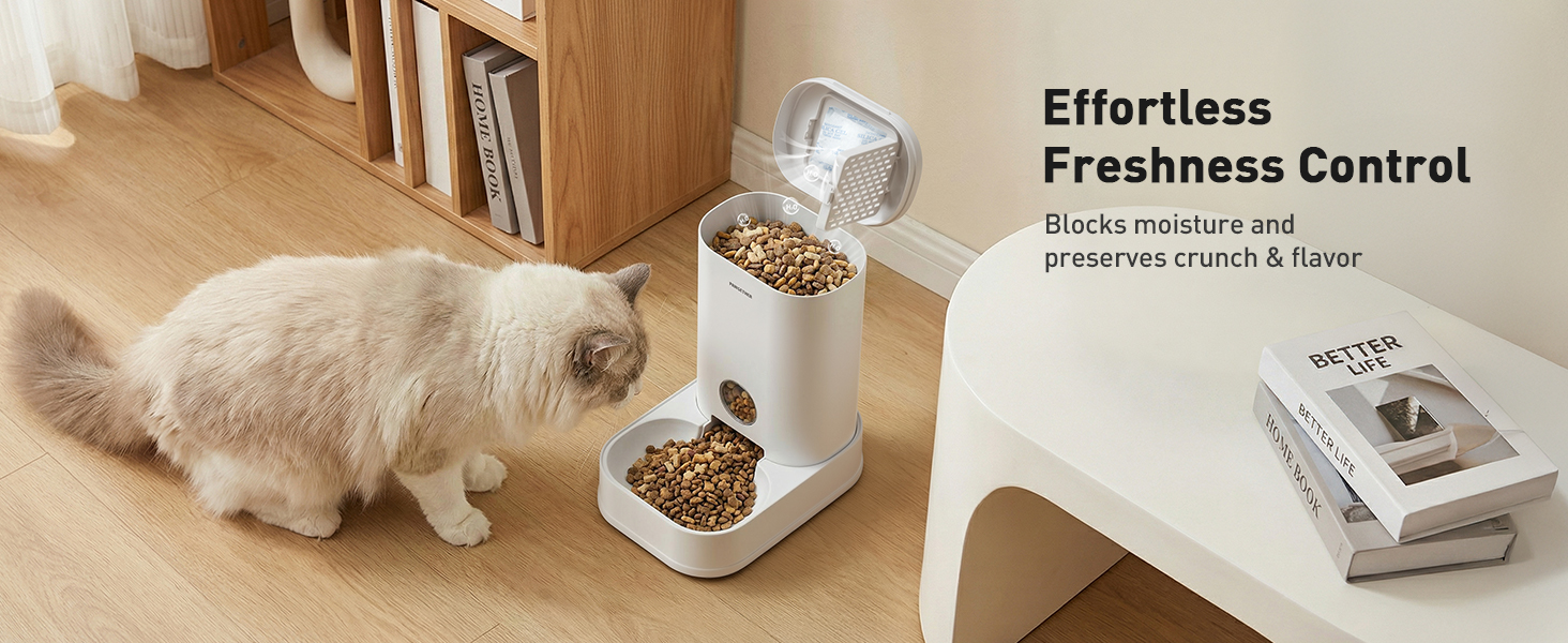 automatic cat feeder