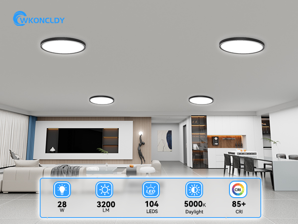 LED Ceiling Light