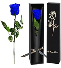 https://m.media-amazon.com/images/I/41OOVhO-w6L.__AC_SR200,225___.jpg