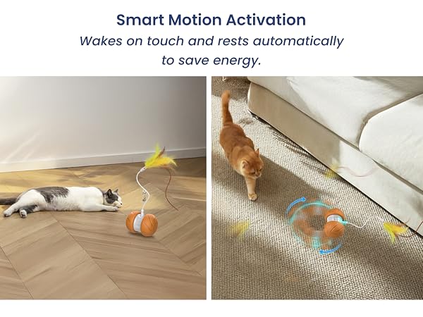 Motion activated cat toy