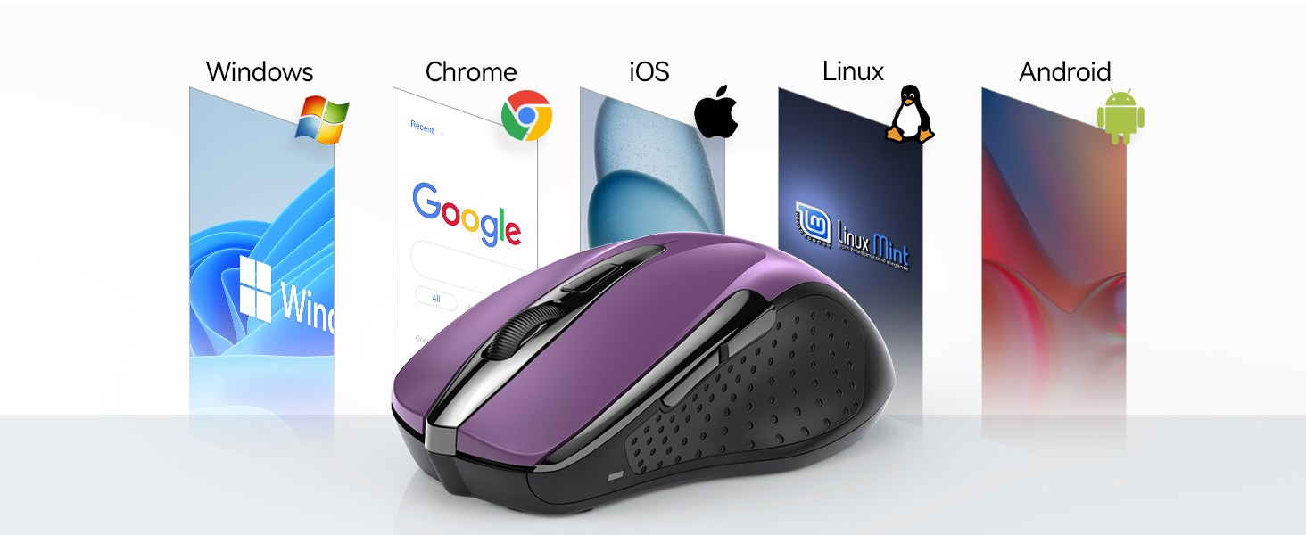 mouse