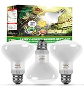 reptile light bulb