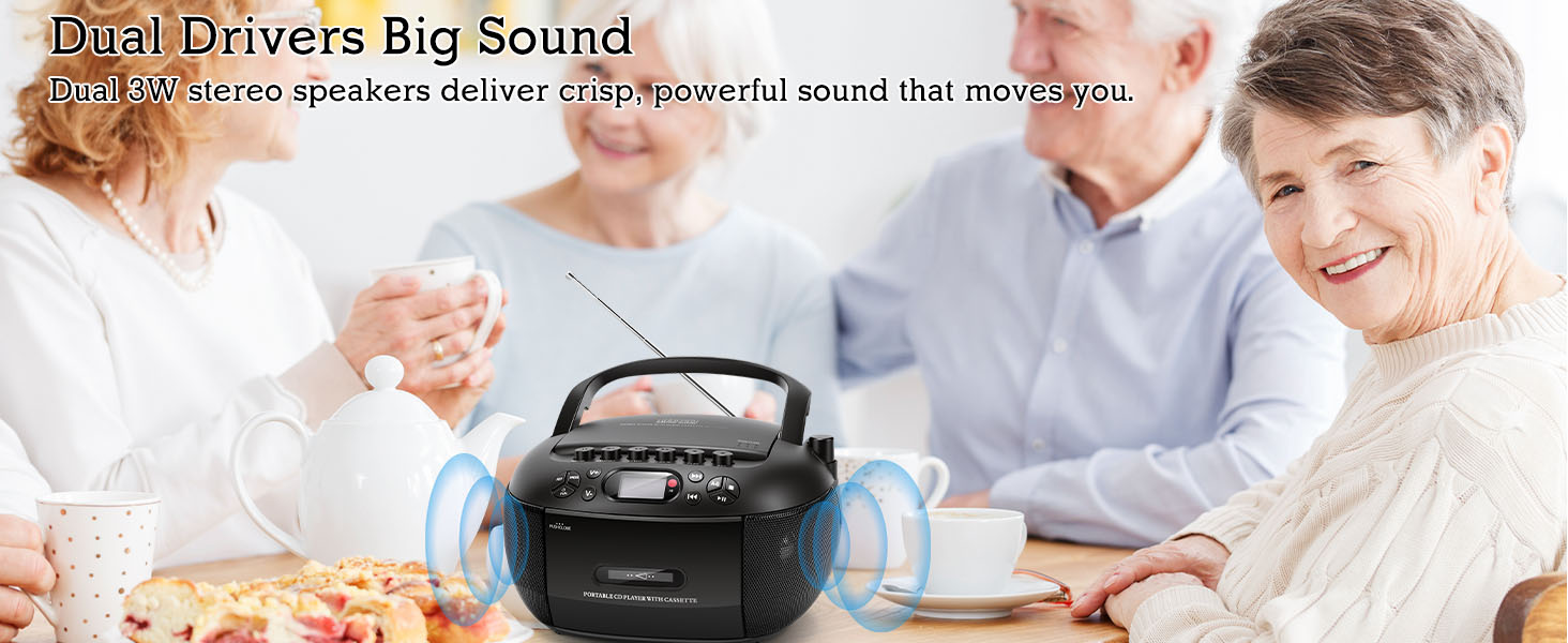Dual Speakers