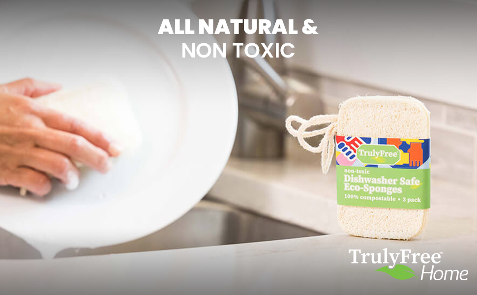 sponges plant based organic sponge natural scotch greener clean eco kitchen coconut pads reusable