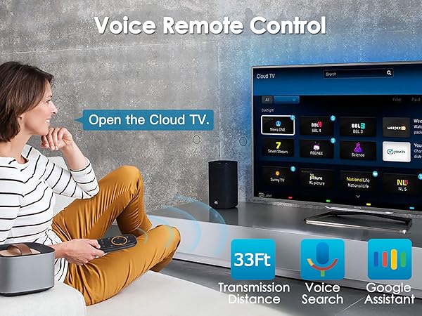 supports voice input