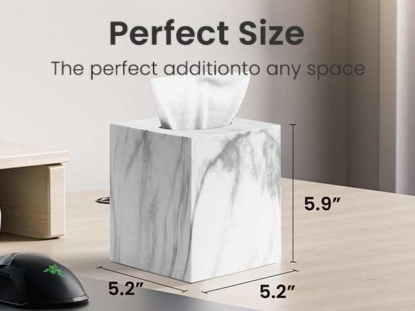tissue holder