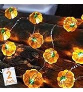TURNMEON Fall Decor 2 Pack 3D Halloween Pumpkin Lights Fall Thanksgiving Decorations Total 20Ft 4...