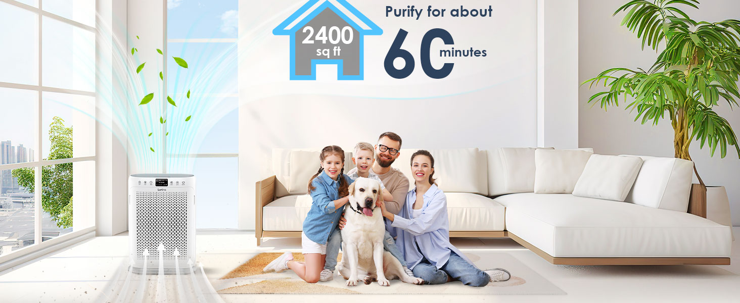 air purifier