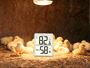 temperature and humidity monitor