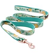 ARING PET Dog Leash, Cotton & Webbing Strong Dog Leashes, Handmade Walking Dog Leash for Small Me...