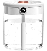 Humidifier,2L USB Personal Desktop Humidifier with Night Light Doubel Nozzle Quiet Air Humidifica...