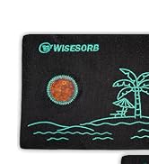 Wisesorb 200g x 3pcs Rechargeable Desiccant Packs for Storage, Color Indicating Silica Gel Packet...
