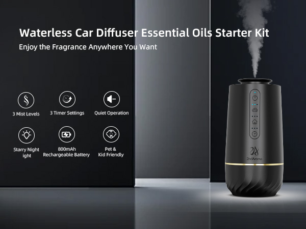 Car Diffuser 1