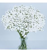 MAQIAHN 6 Baby Breath Artificial Flowers - Babies Breath Flowers Artificial Bulk Faux Flowers Bou...