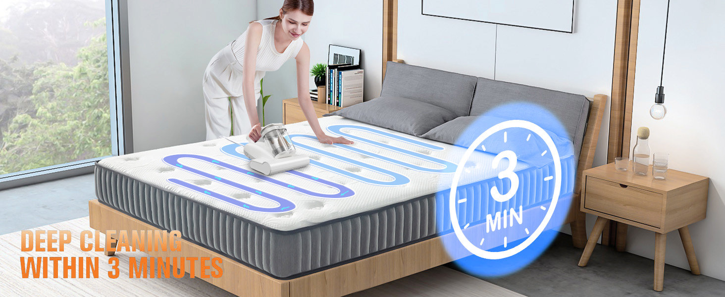 dust mite mattress vacuum