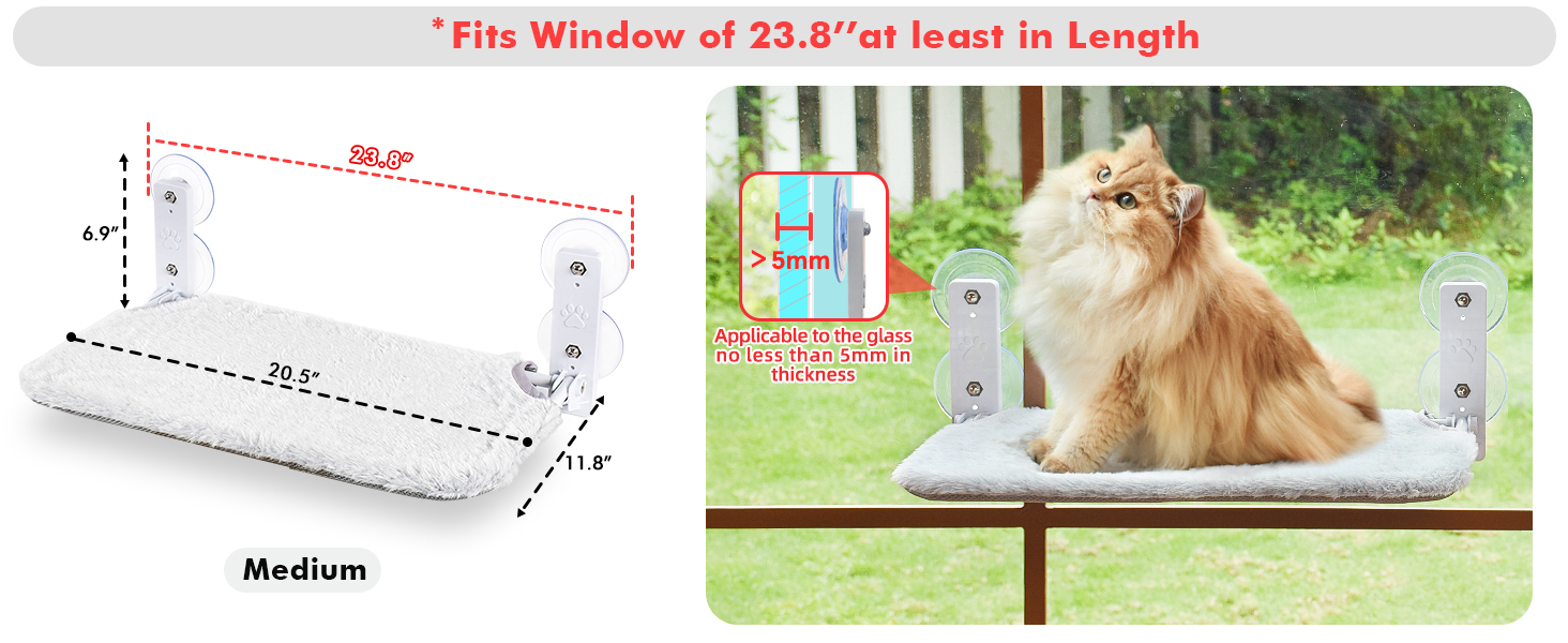 cat window perch