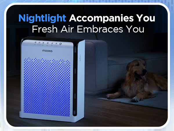 HEPA Air Purifiers For Home is Suitable for Large Rooms,Perfect For Pet Lovers