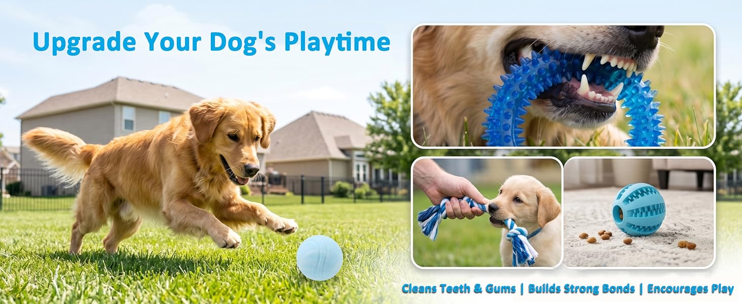 Puppy Toys for Teething