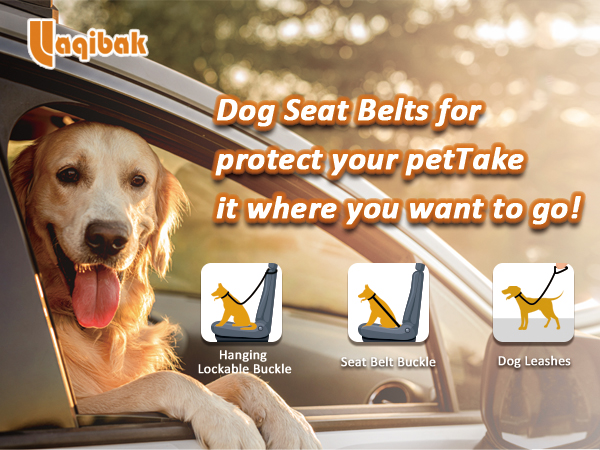 dog seat belt harness for car