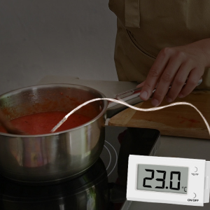 Oven Thermometer