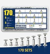 170 Sets Silvery Chicago Screws