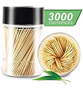 TRTRin [3000 Count 100% Natural Bamboo Toothpicks - With 1 Piece Reusable Toothpick Holder, Sturd...
