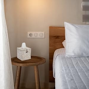 Decorative Tissue Holder for Desk