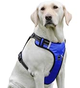 PenSeepet Dog Harness No Pull Dog Harness with 2 D-Ring,Adjustable Reflective Soft Padded Dog Ves...