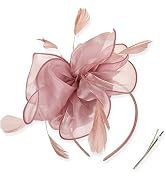DRESHOW Fascinators Hat Tea Party Headwear Ribbons Feathers on a Headband and a Clip for Women