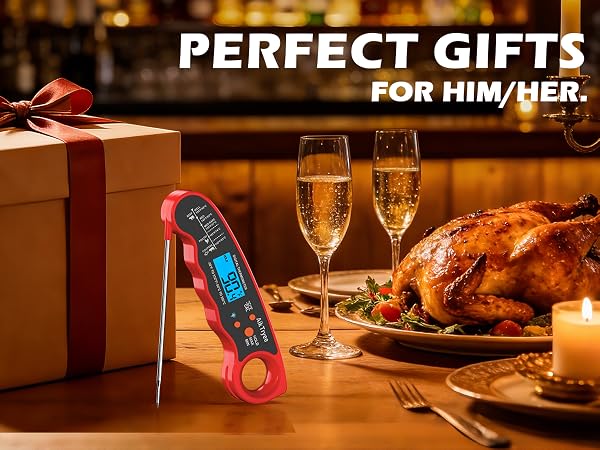 meat thermometer for grilling