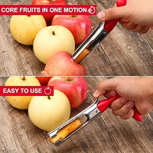 apple pit core remover