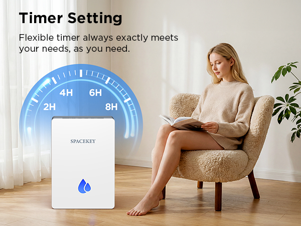 dehumidifier with 2h 4h 6h 8h timer setting
