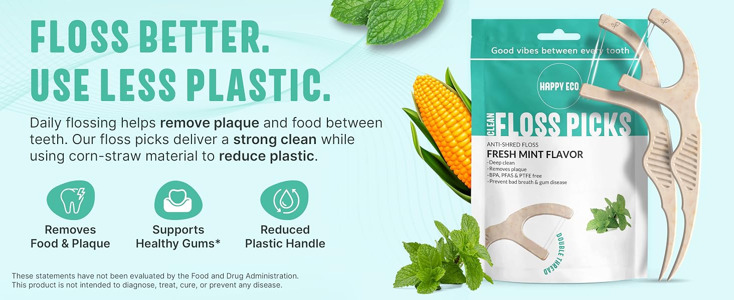 Dental Floss Picks