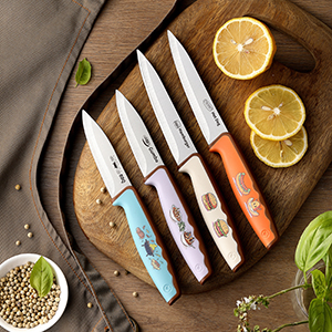 kitchen knife