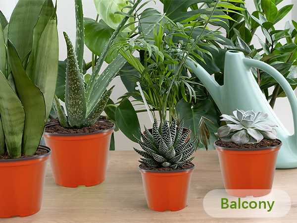 nursery pots