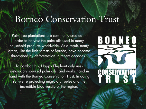Borneo Conservation Trust