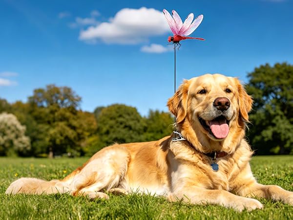 dragon fly clips for bugs repellent