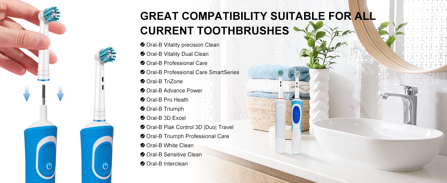 Toothbrush Heads