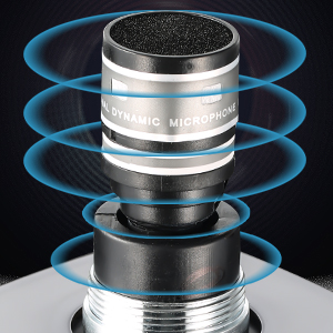 mic