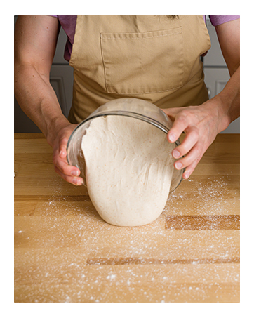 Brod and Taylor Innovative products Professional results bread baking sourdough pizza whisk proofer