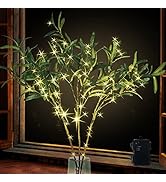 24IN 30000H Warm White Lighted Branches for Vases with 180, Artificial Olive Branches Decor Chris...